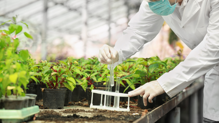 Plant Pathology Laboratory